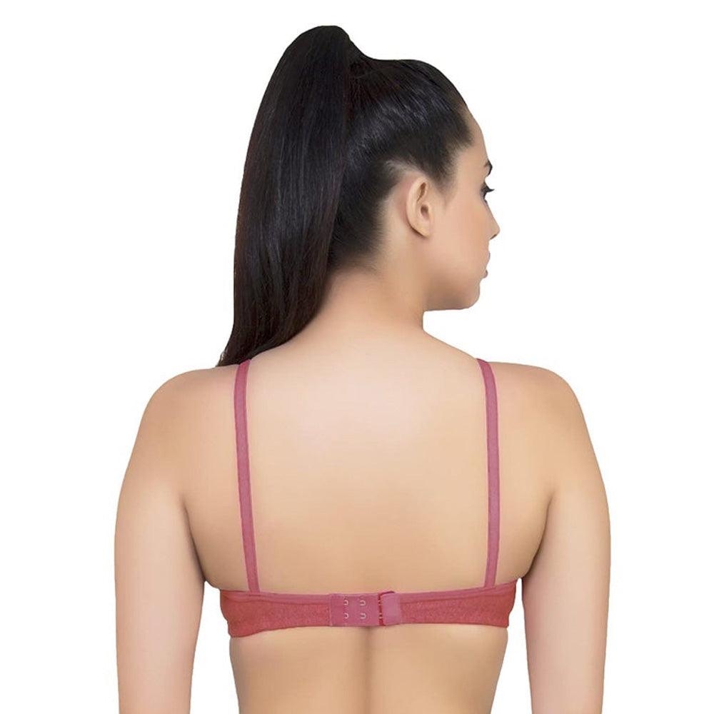 Lightly Padded classic comfort bra pack of 2